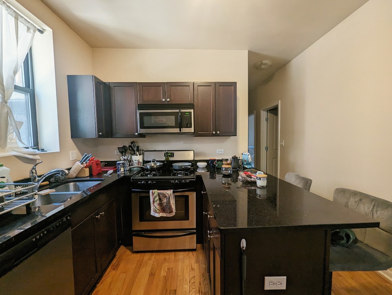 729 South Loomis Street Chicago, IL 60607 - Photo 16 of 34 Gallery Image 16
