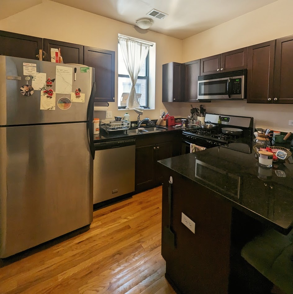 729 South Loomis Street Chicago, IL 60607 - Photo 7 of 34 Gallery Image 7
