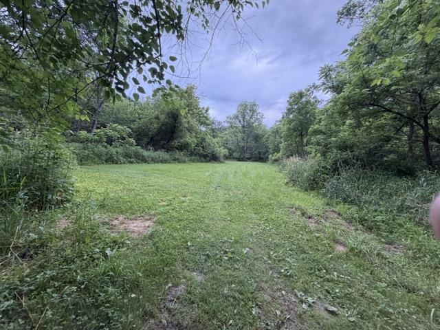 60357 Rush Creek Road Ferryville, WI 54628 - Photo 29 of 42