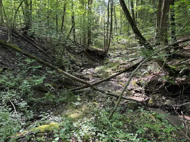 $8,000 | Jollytown Road, Cuba, NY 14727