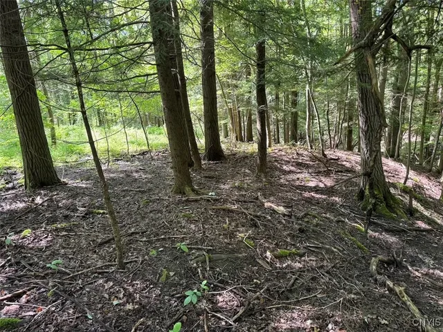 $8,000 | Jollytown Road, Cuba, NY 14727