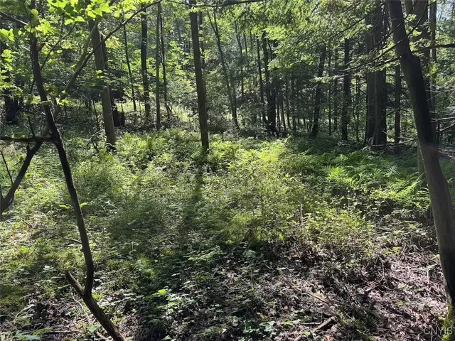 $8,000 | Jollytown Road, Cuba, NY 14727