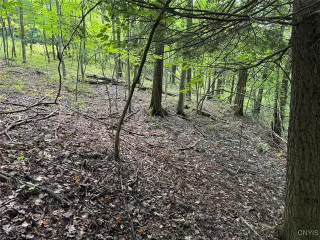 $8,000 | Jollytown Road, Cuba, NY 14727