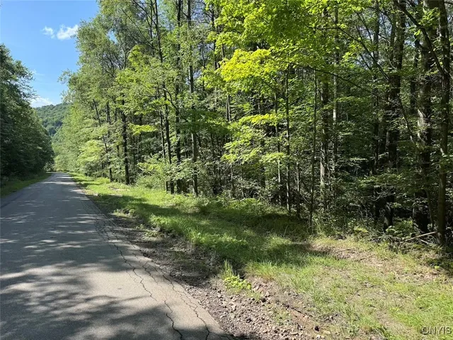 $8,000 | Jollytown Road, Cuba, NY 14727