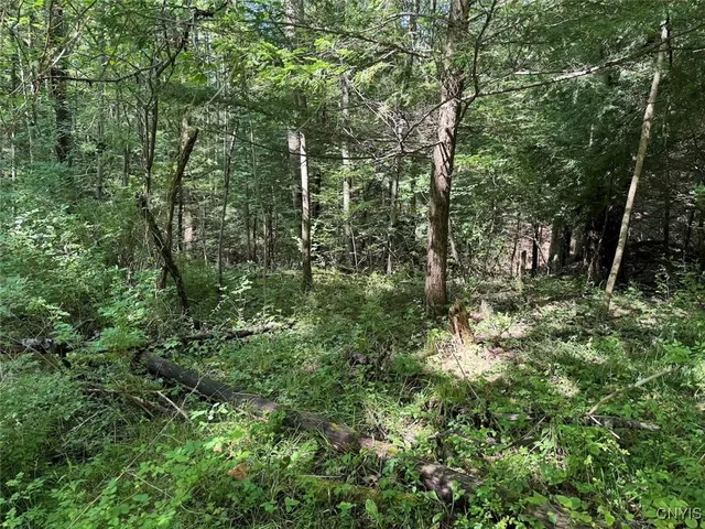 $8,000 | Jollytown Road, Cuba, NY 14727
