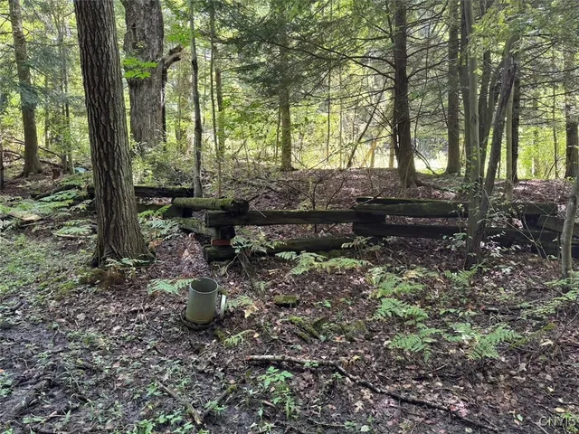 $8,000 | Jollytown Road, Cuba, NY 14727