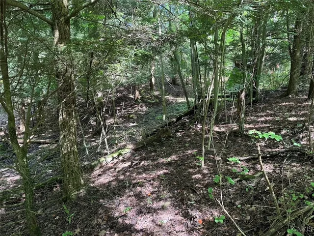 $8,000 | Jollytown Road, Cuba, NY 14727