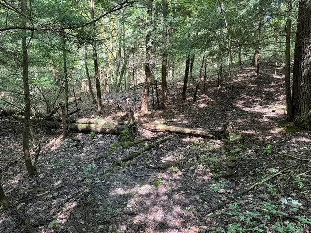 $8,000 | Jollytown Road, Cuba, NY 14727