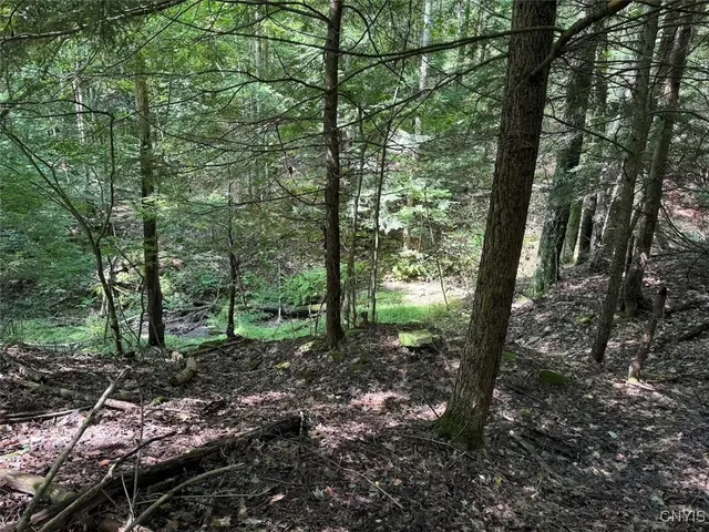 $8,000 | Jollytown Road, Cuba, NY 14727