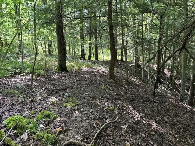 $8,000 | Jollytown Road, Cuba, NY 14727