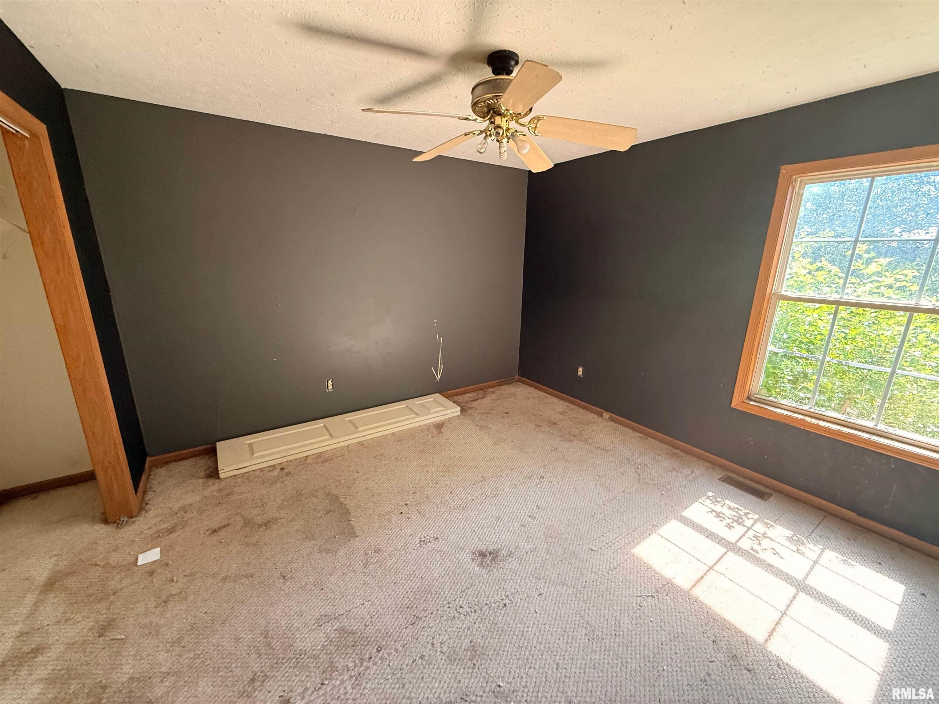 612 Snead Road Niantic, IL 62551 - Photo 6 of 19 Gallery Image 6