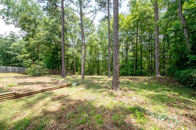 a view of a house with backyard and a tree