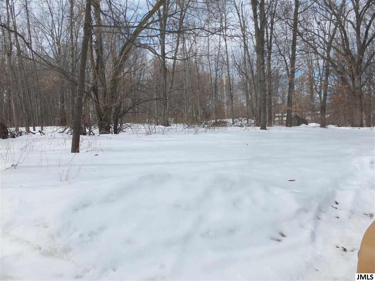 12309 Folks Road Hanover, MI 49241 - Photo 16 of 17 Photo 16