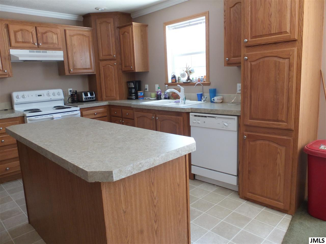 12309 Folks Road Hanover, MI 49241 - Photo 3 of 17 Photo 3