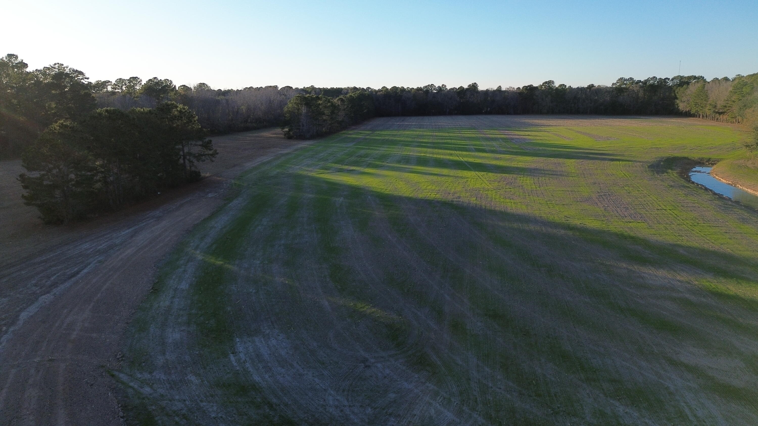 6 Highway 52 St. Stephen, SC 29479 - Photo 2 of 14 DJI_0369
