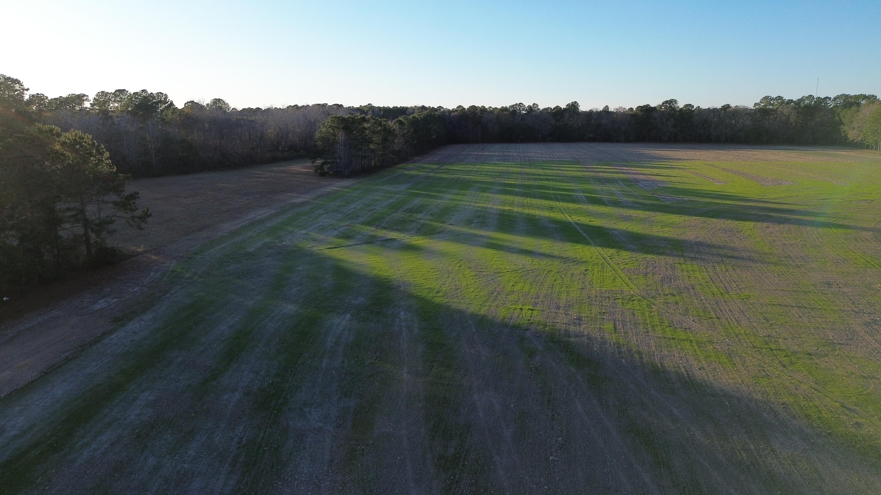6 Highway 52 St. Stephen, SC 29479 - Photo 3 of 14 DJI_0370