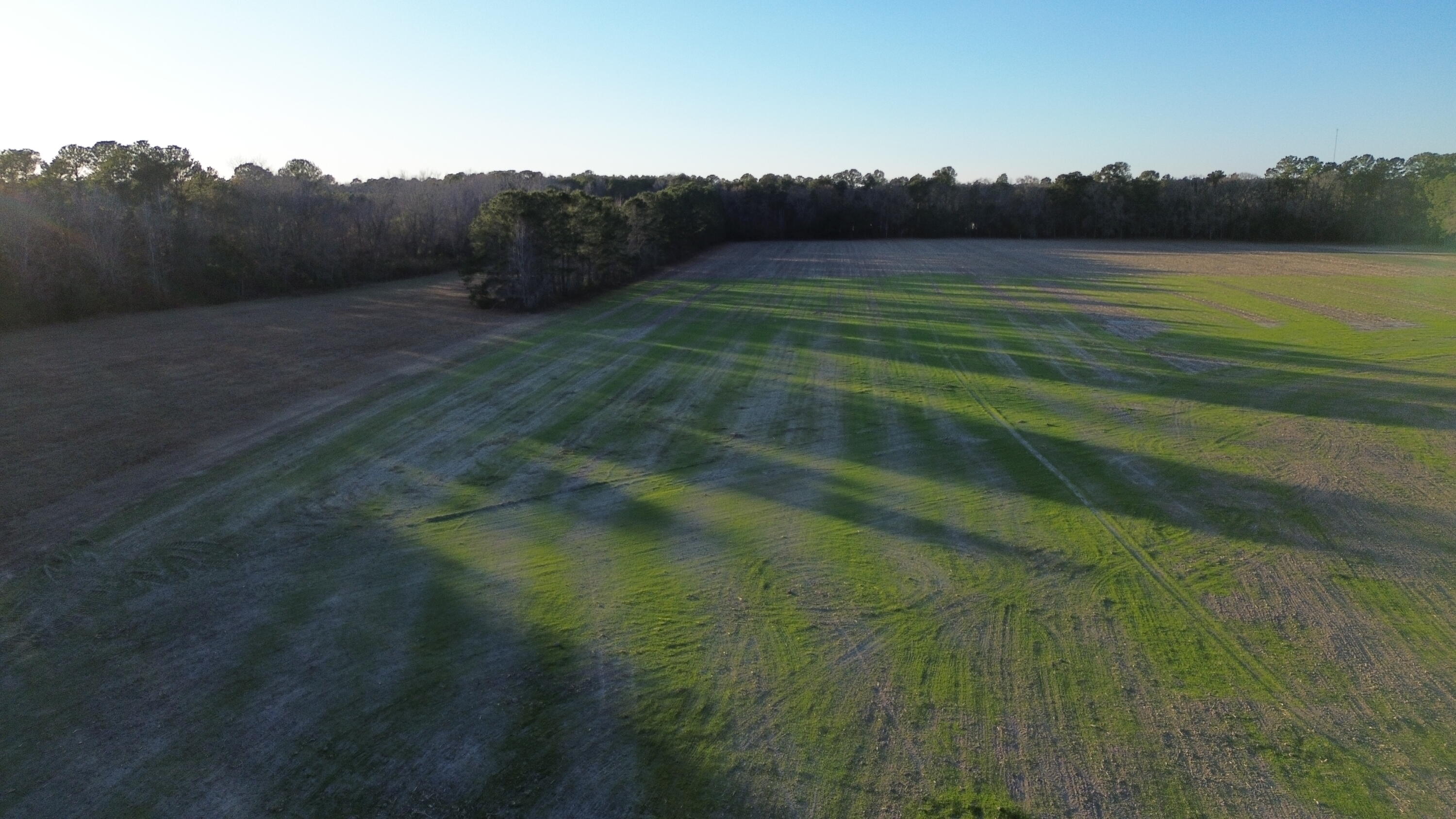 6 Highway 52 St. Stephen, SC 29479 - Photo 4 of 14 DJI_0371