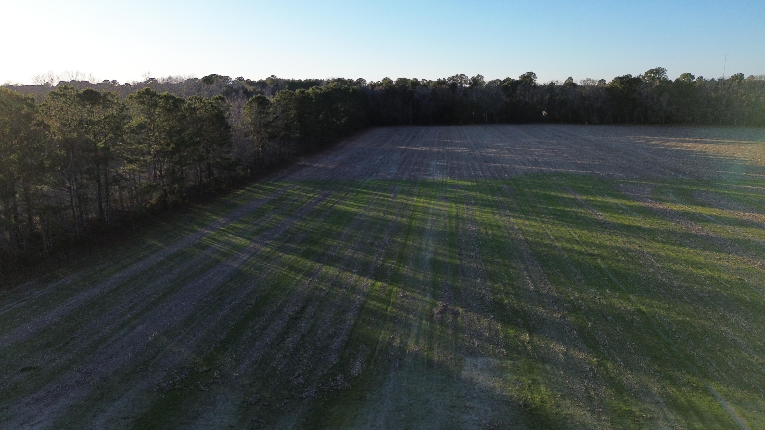 6 Highway 52 St. Stephen, SC 29479 - Photo 5 of 14 DJI_0372