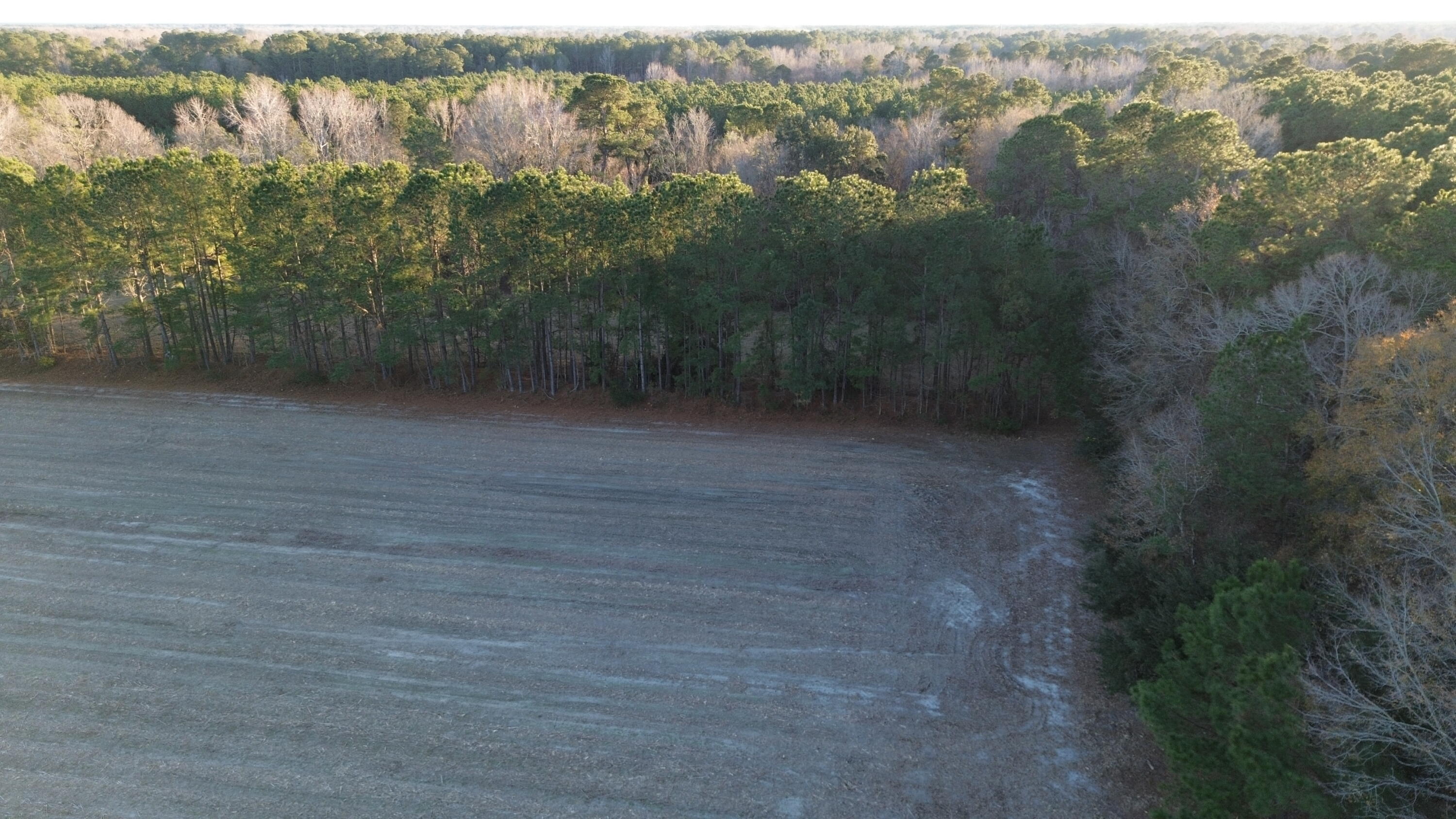 6 Highway 52 St. Stephen, SC 29479 - Photo 9 of 14 DJI_0375