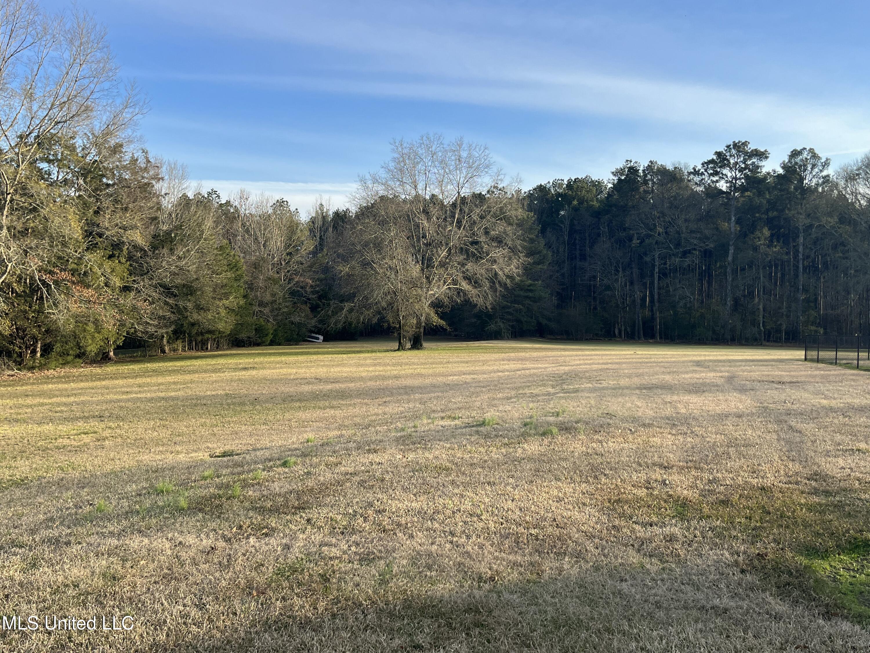 304 Williams Road Florence, MS 39073 - Photo 16 of 74 IMG_5501