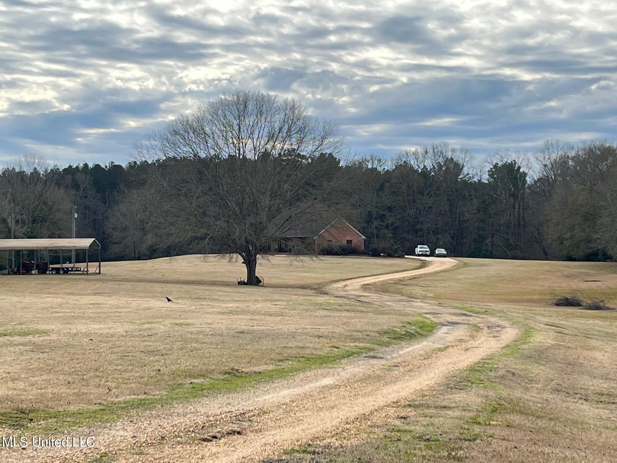 304 Williams Road Florence, MS 39073 - Photo 4 of 74 IMG_5573