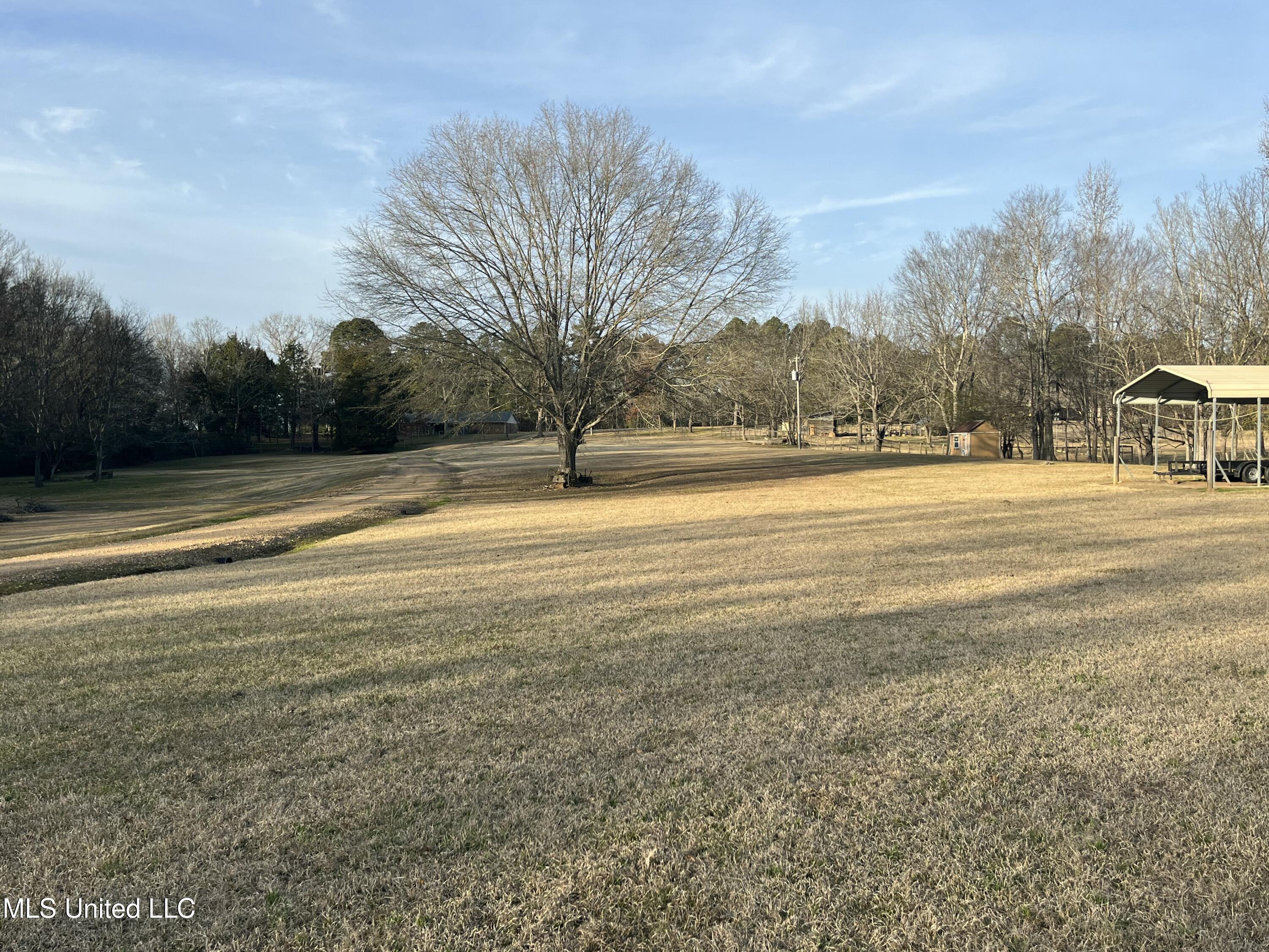 304 Williams Road Florence, MS 39073 - Photo 5 of 74 IMG_5489