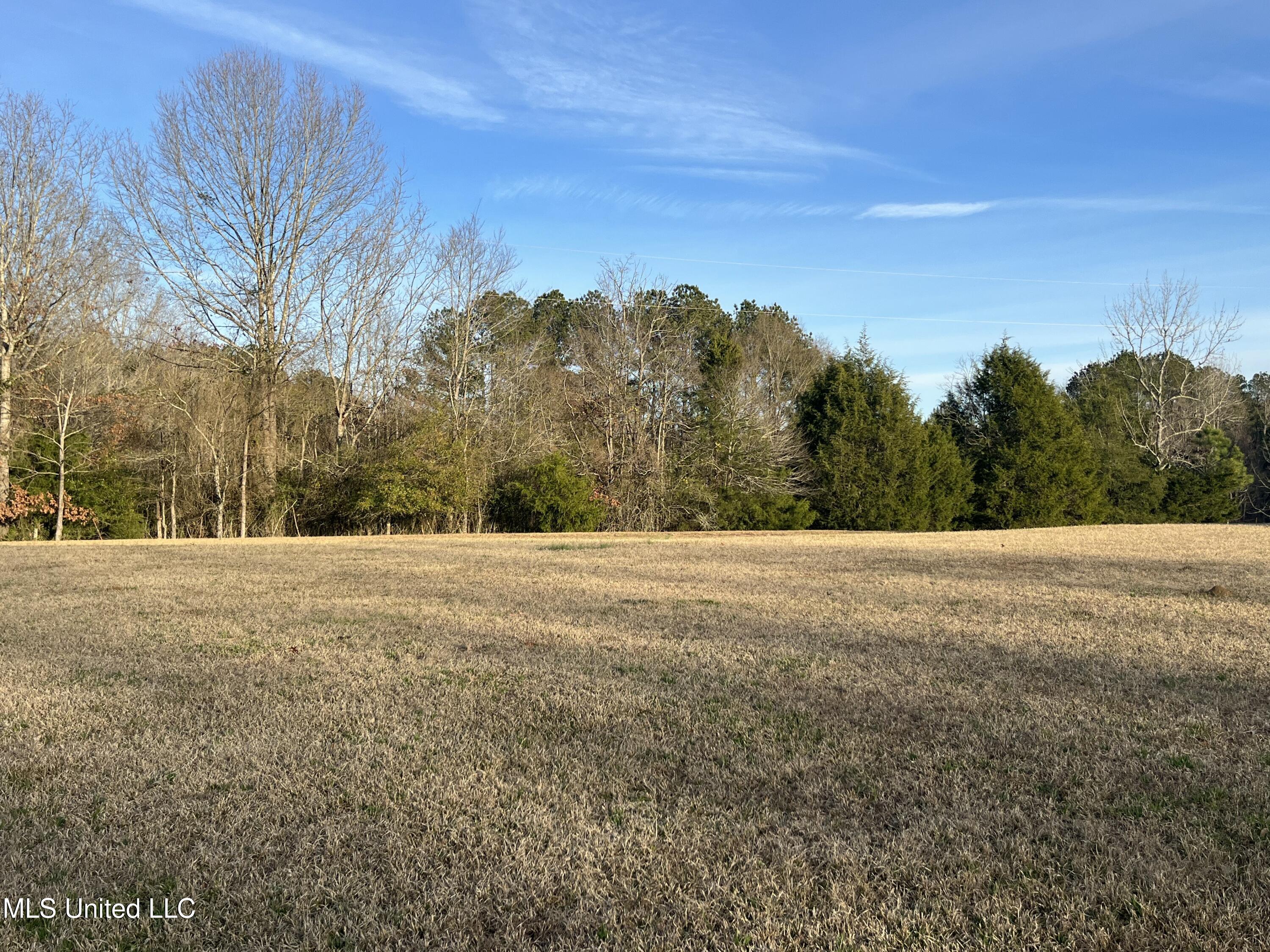 304 Williams Road Florence, MS 39073 - Photo 7 of 74 IMG_5491