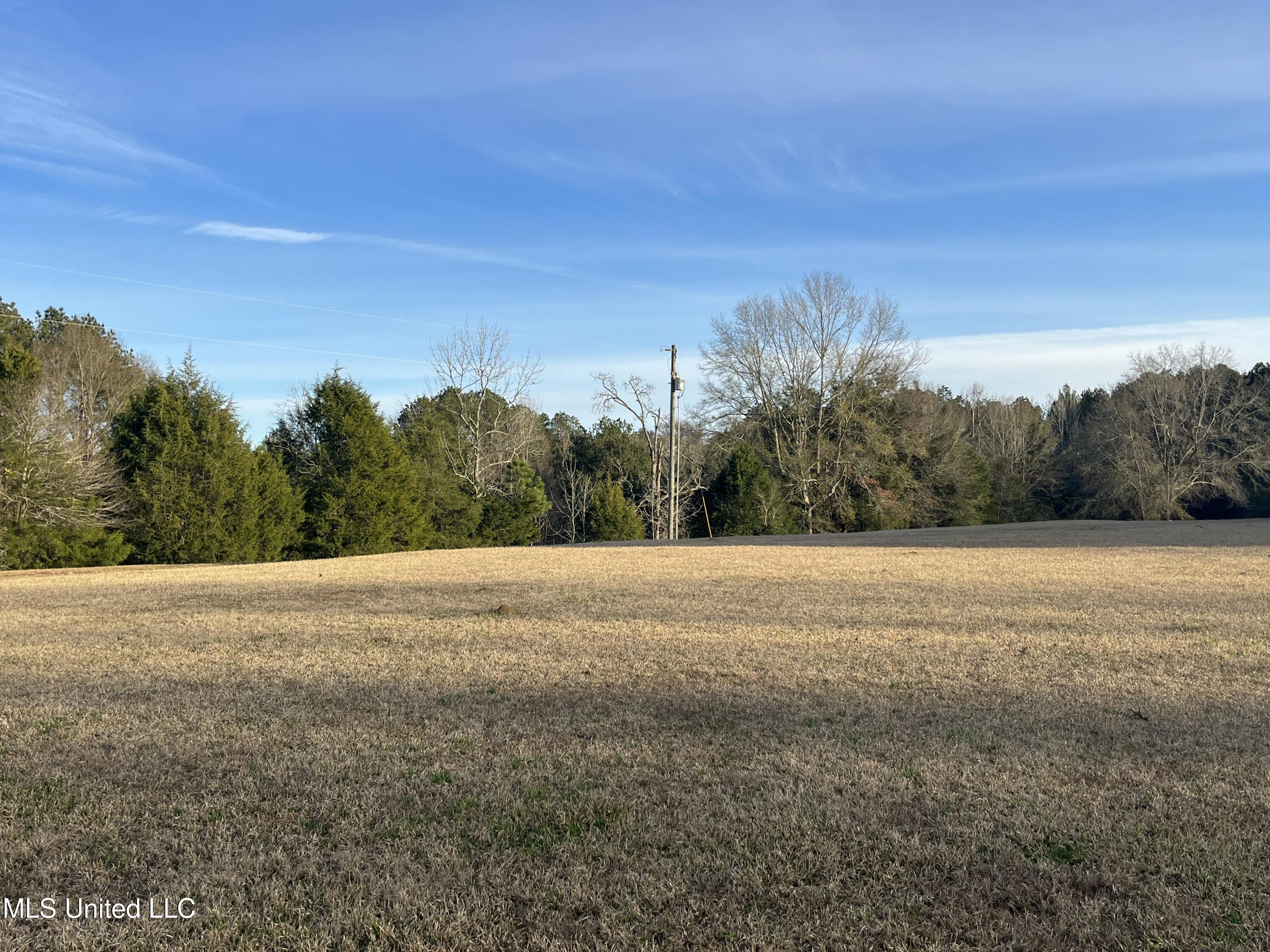 304 Williams Road Florence, MS 39073 - Photo 8 of 74 IMG_5492