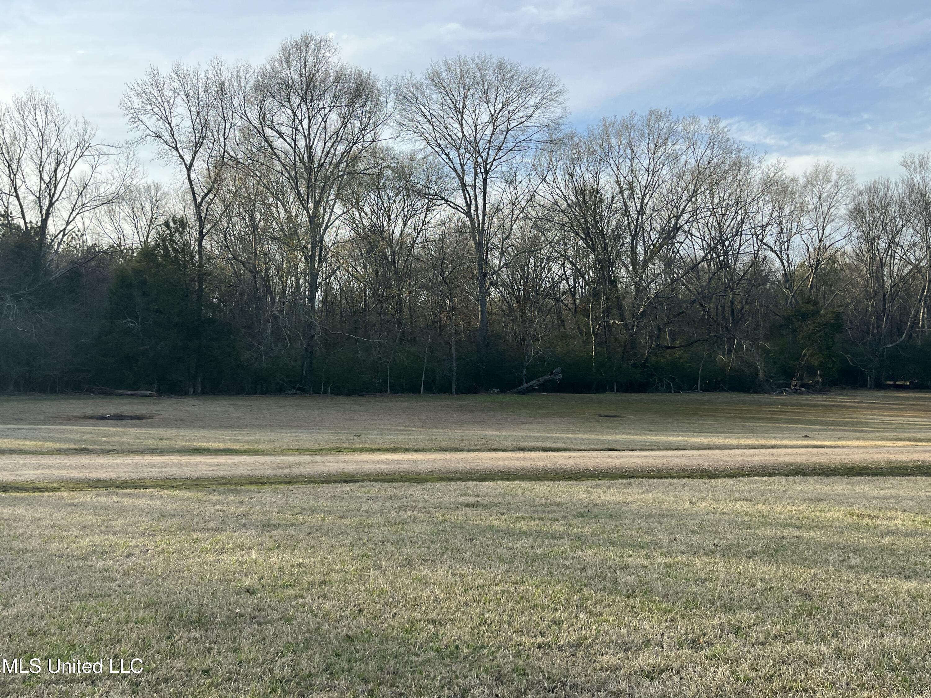 304 Williams Road Florence, MS 39073 - Photo 10 of 74 IMG_5494