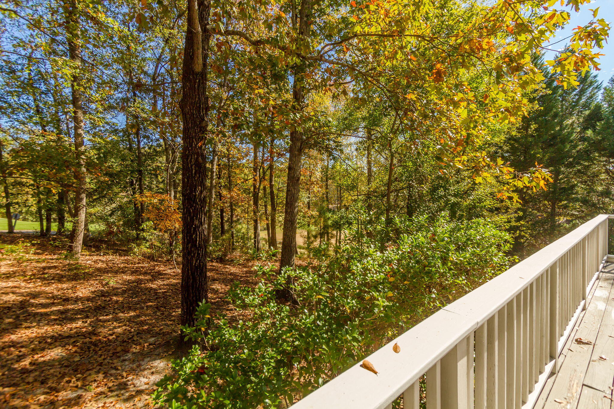124 Sugarberry Road Aiken, SC 29803 - Photo 54 of 62