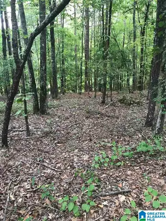$15,000 | Aurora Circle, Unit 14, Alpine, AL 35014