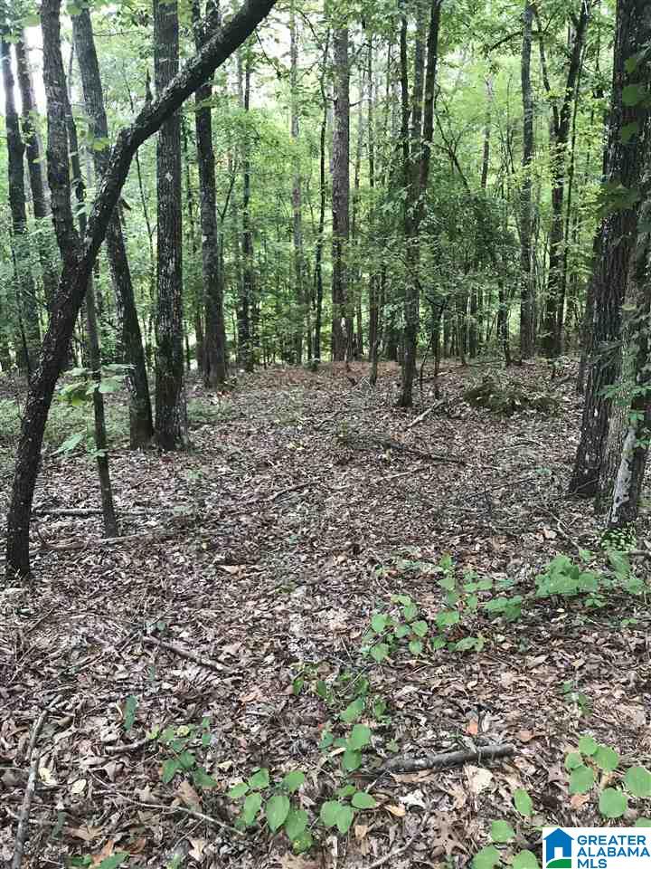 Aurora Circle, Unit 14 Alpine, AL 35014 - Photo 1 of 1