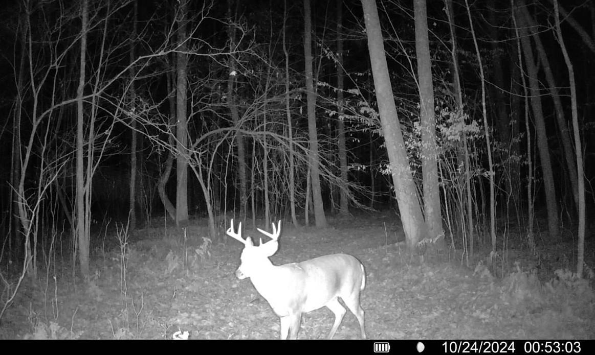 N11453 Cth F Phillips, WI 54555 - Photo 28 of 56 Gallery Image 28