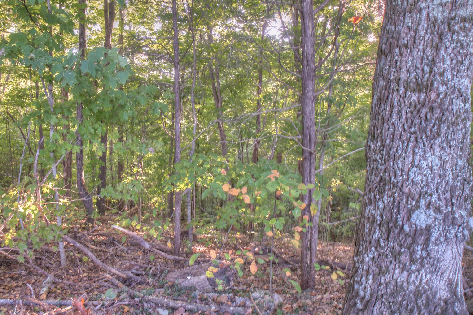 1 Conley Road Woodbury, TN 37190 - Photo 8 of 27 Gallery Image 8
