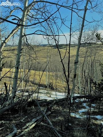Tbd Long Gulch Road Hartsel, CO 80449 - Photo 10 of 27 Gallery Image 10