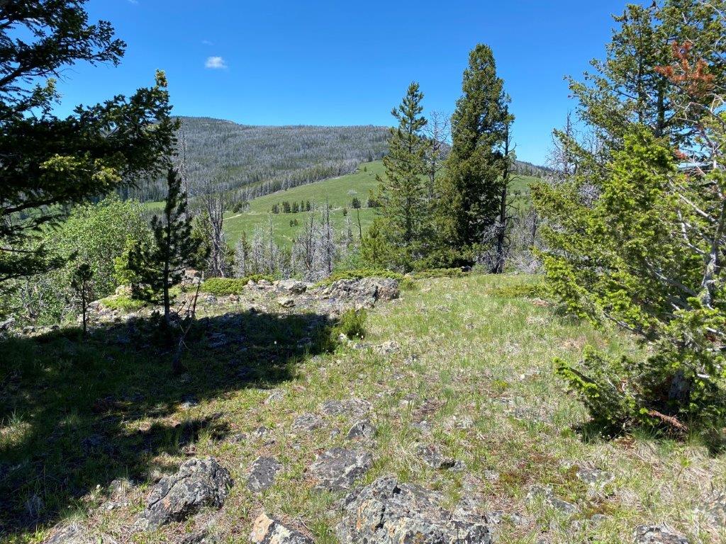 Tbd Indian Creek Road Townsend, MT 59644 - Photo 21 of 50 Gallery Image 21