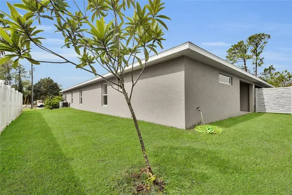 a backyard of a house with plants and large tree