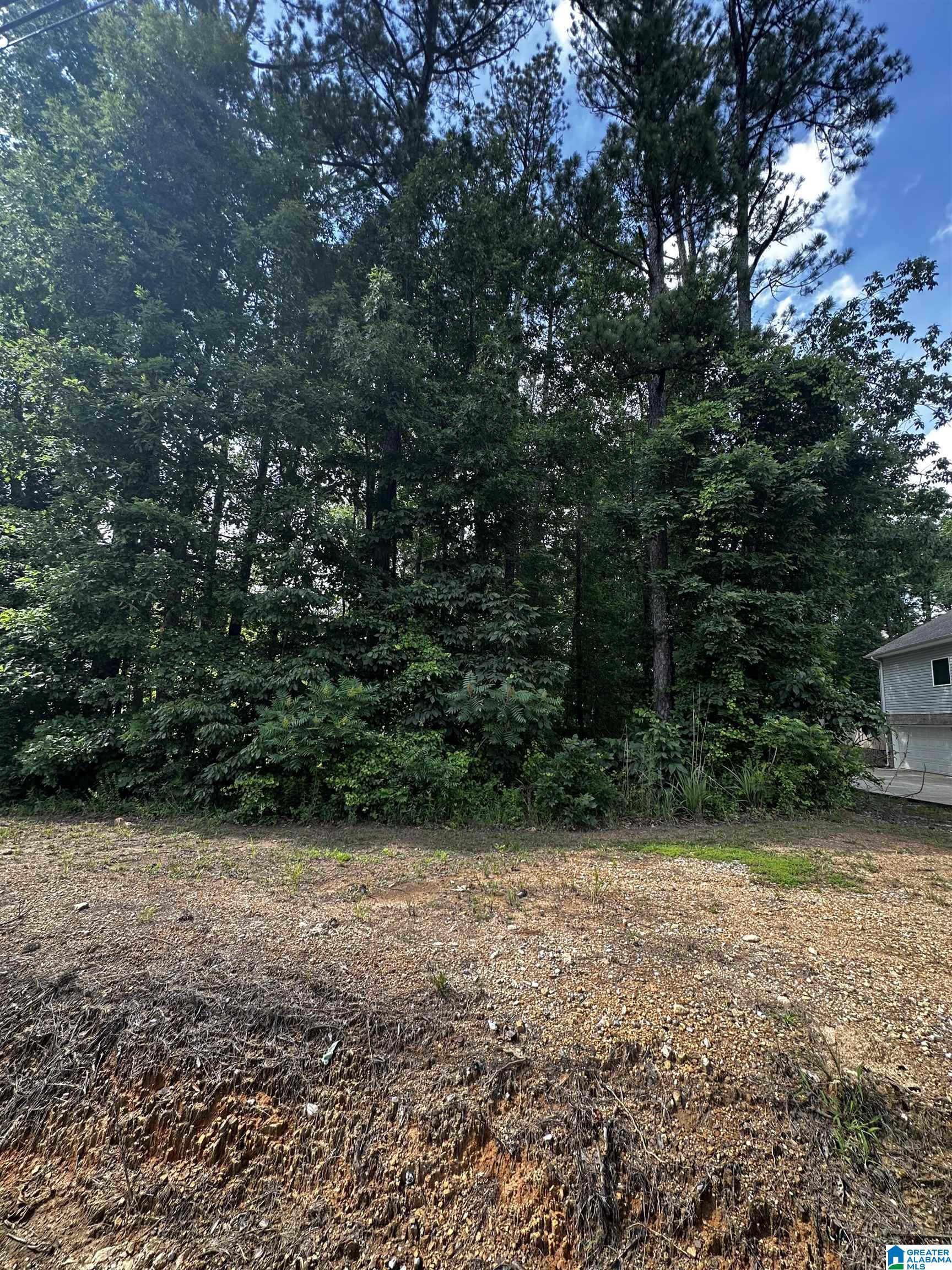 Sandy Drive, Unit 69 McCalla, AL 35111 - Photo 2 of 4