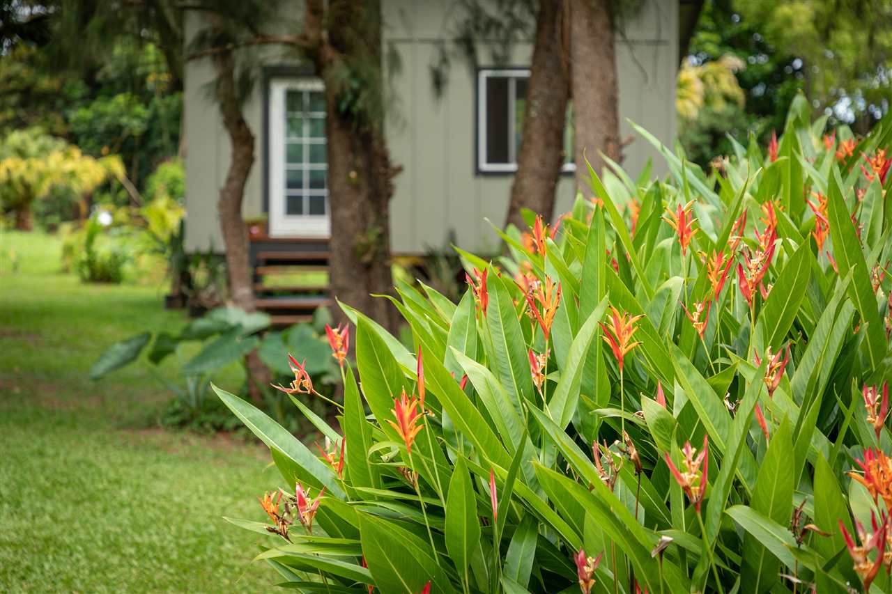 500 Ulumalu Road, Unit A Haiku, HI 96708 - Photo 27 of 30 a backyard of a house with lots of green space