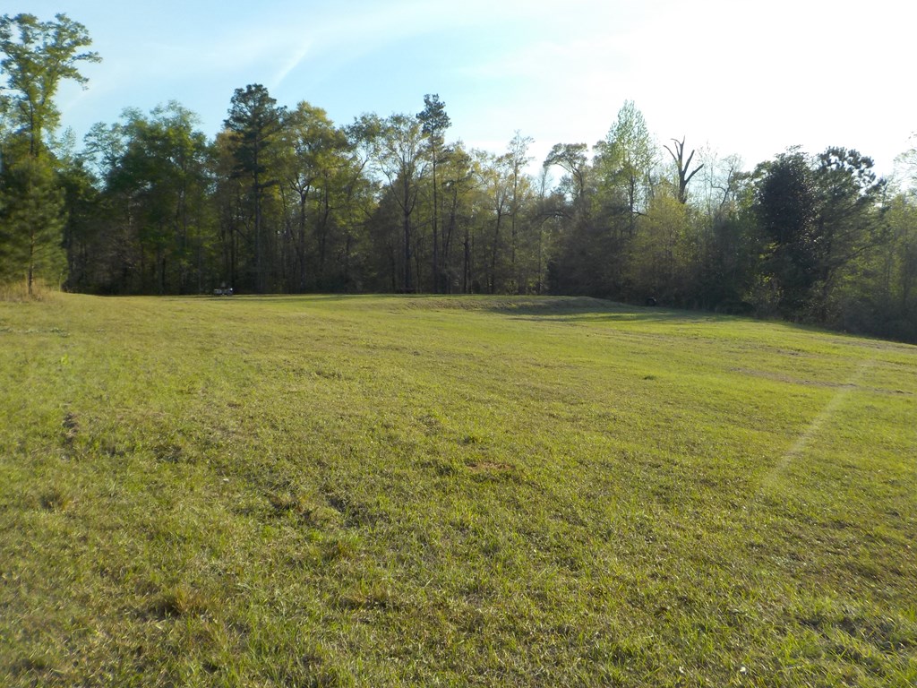 36.62-ac Hooper Cherry Road Dothan, AL 36301 - Photo 28 of 32 Gallery Image 28