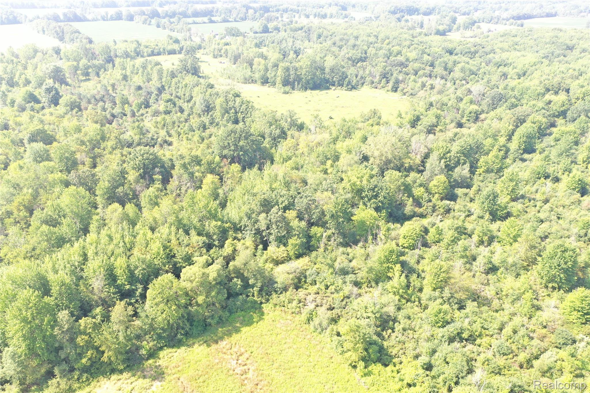 1 Foley Road Emmett, MI 48022 - Photo 5 of 16 DJI_0344.JPG