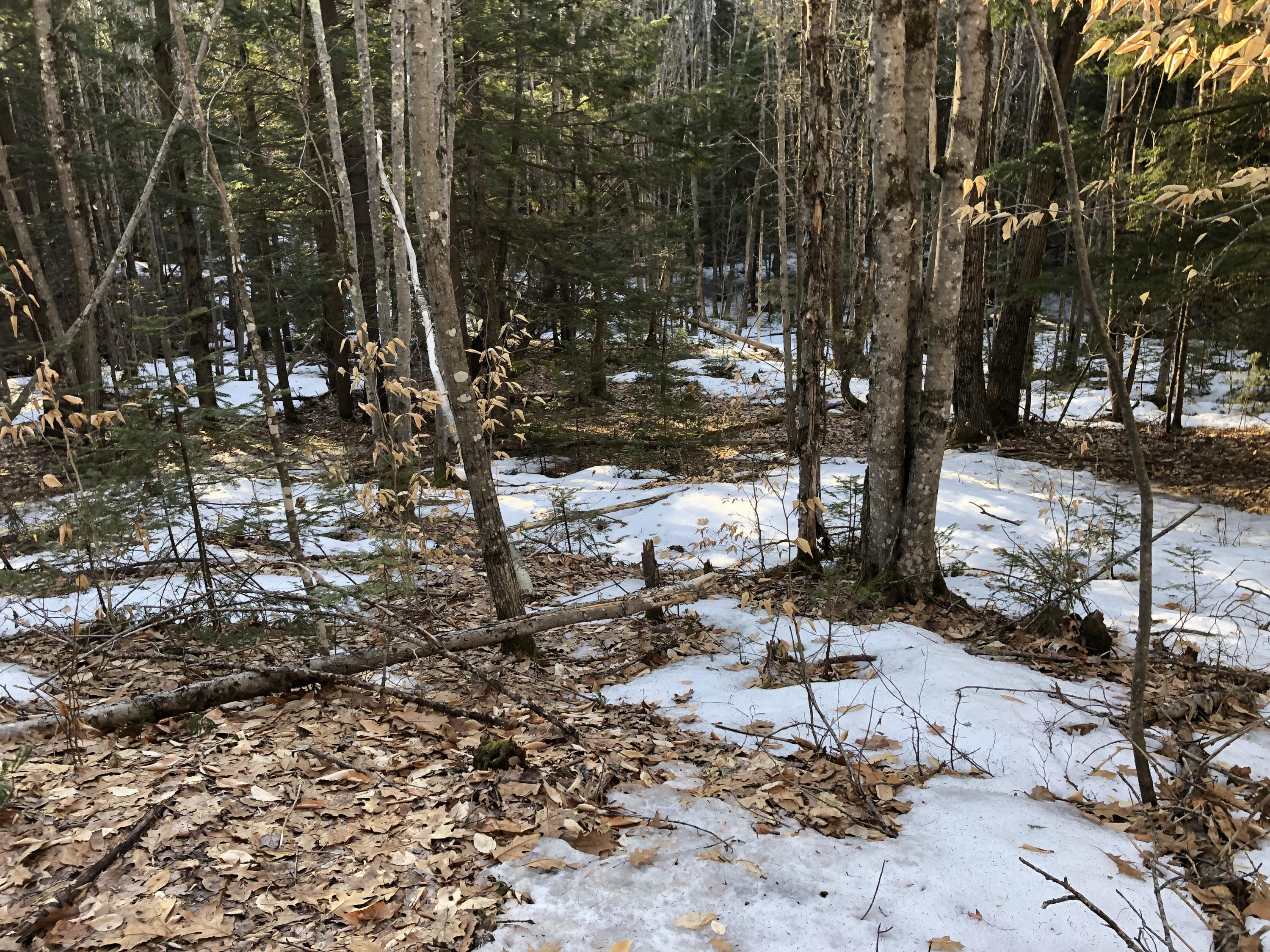 99 Lunt Road Brunswick, ME 04011 - Photo 12 of 15 IMG_0509