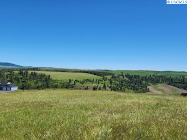 Lot 9 Red Tail Ridge Road Colfax, WA 99111 - Photo 5 of 6 Gallery Image 5