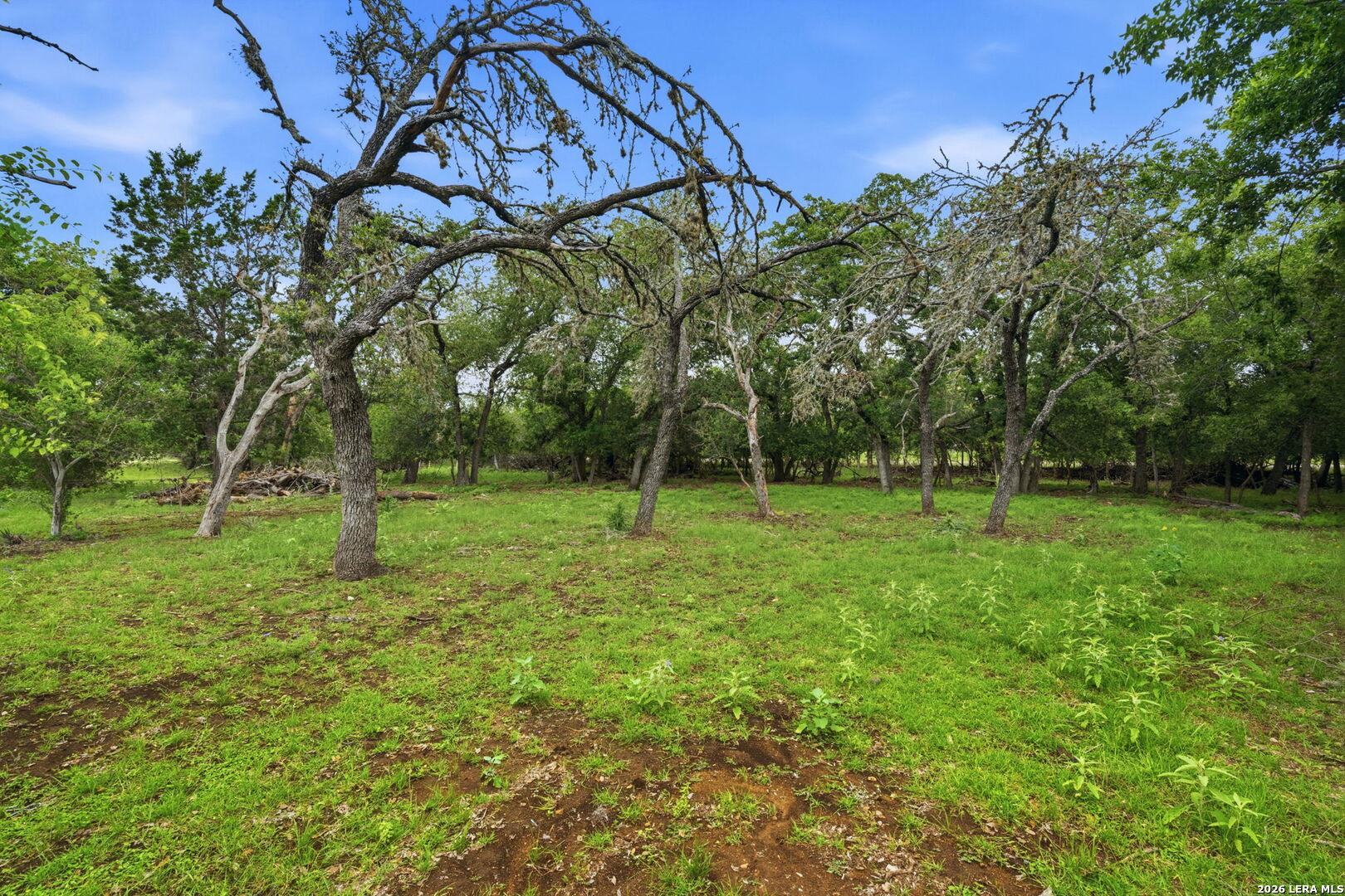 340 Rio Oak Road Pipe Creek, TX 78063 - Photo 25 of 39