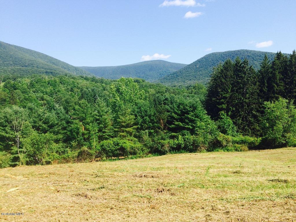 Hopper Road Williamstown, MA 01267 - Photo 5 of 42 View of Mt. Greylock