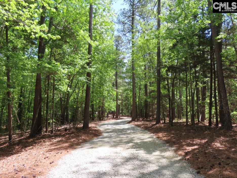 201 State Rd S-20-99 Blair, SC 29015 - Photo 4 of 61