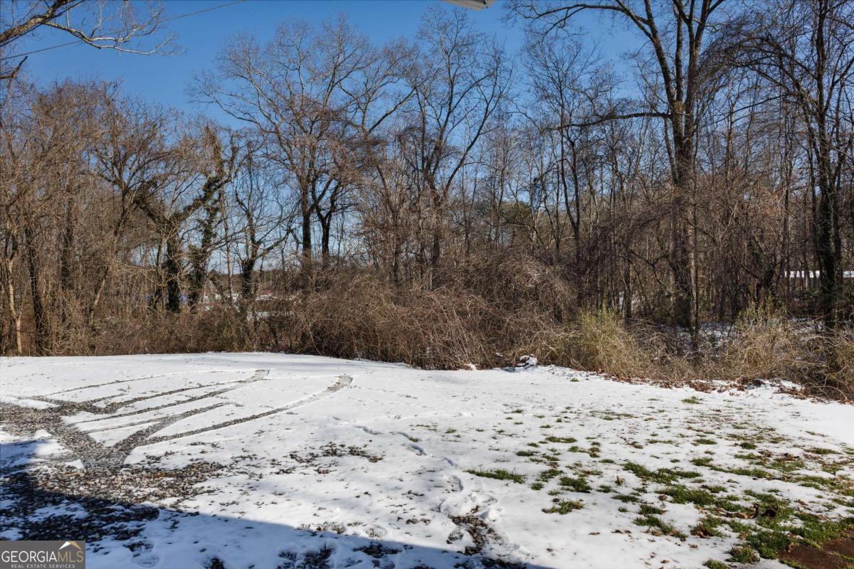 125 Jones Street, Unit A3 Blue Ridge, GA 30513 - Photo 21 of 23