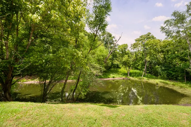 a view of swimming pool