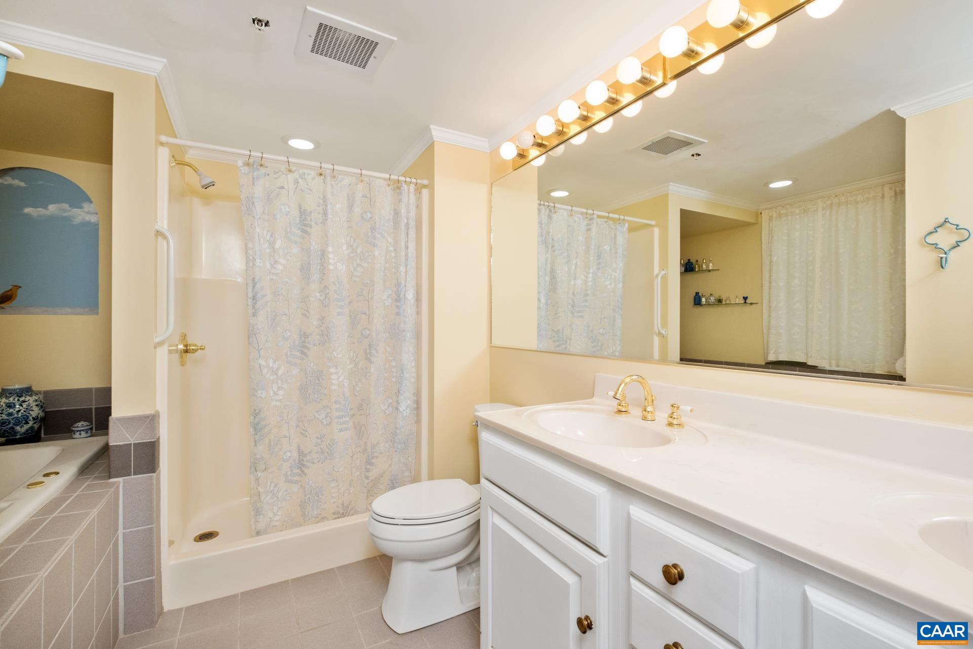 500 Crestwood Drive, Unit 1305 Charlottesville, VA 22903 - Photo 20 of 32 a bathroom with a sink a toilet and shower