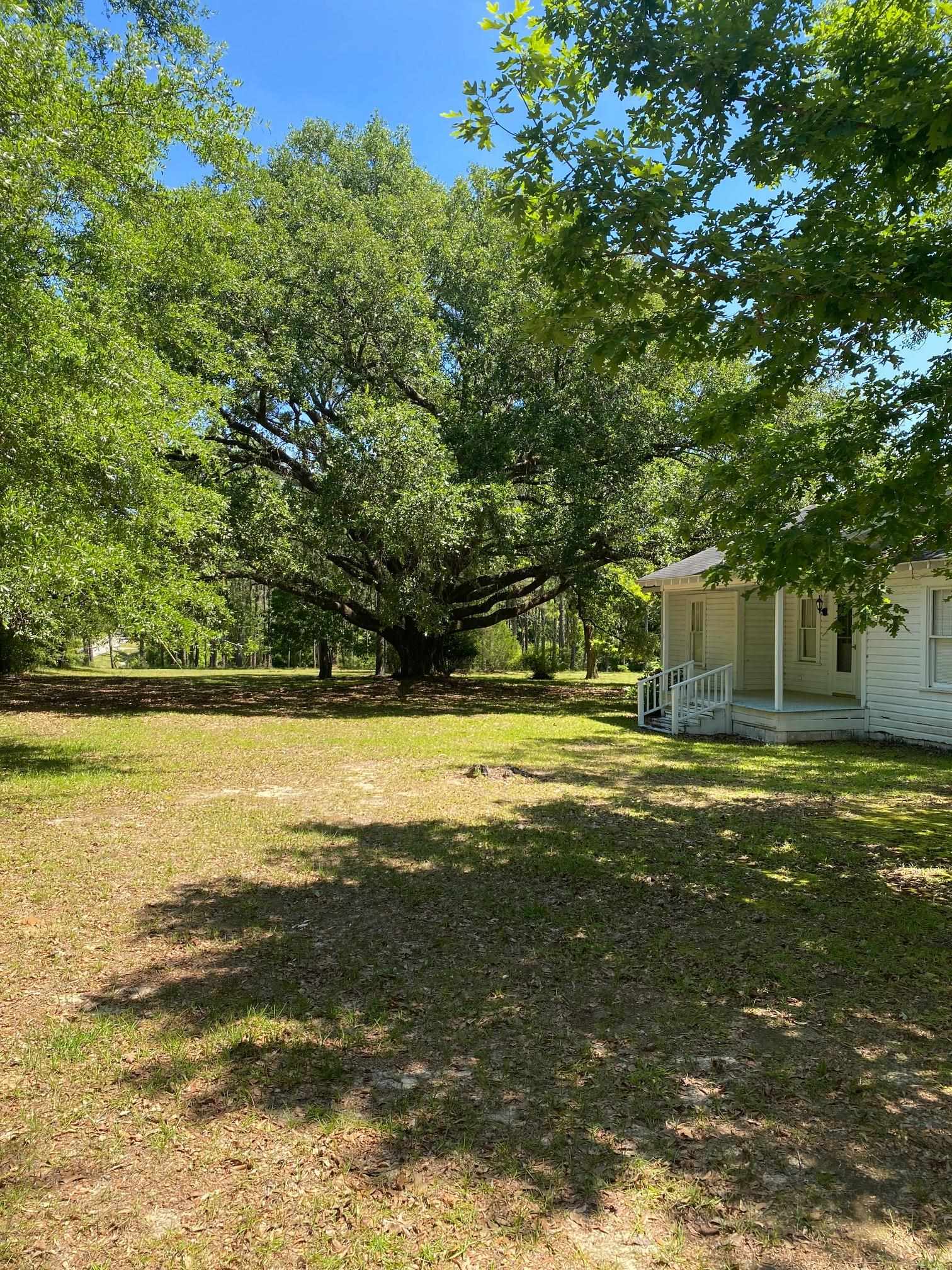 51012 Rabun Road Bay Minette, AL 36507 - Photo 2 of 7 Front View